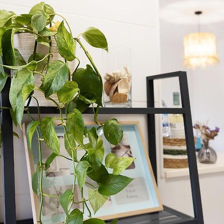 Casa Minke Lägenhet Portimão Exteriör bild